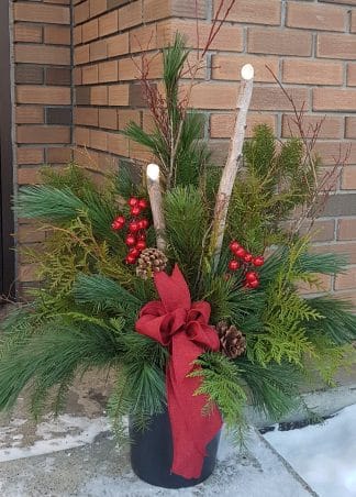 Wintergreen Indoor/Outdoor Display (XM19-05)