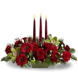 Dreaming of Christmas (TFWEB483)