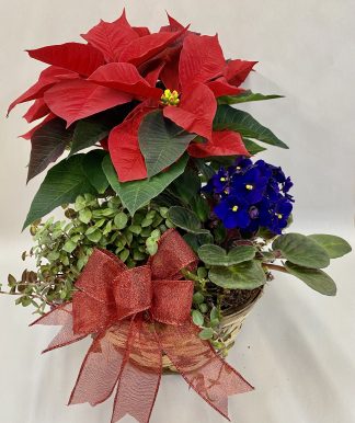 Holiday Fun Planter (XM15-03)