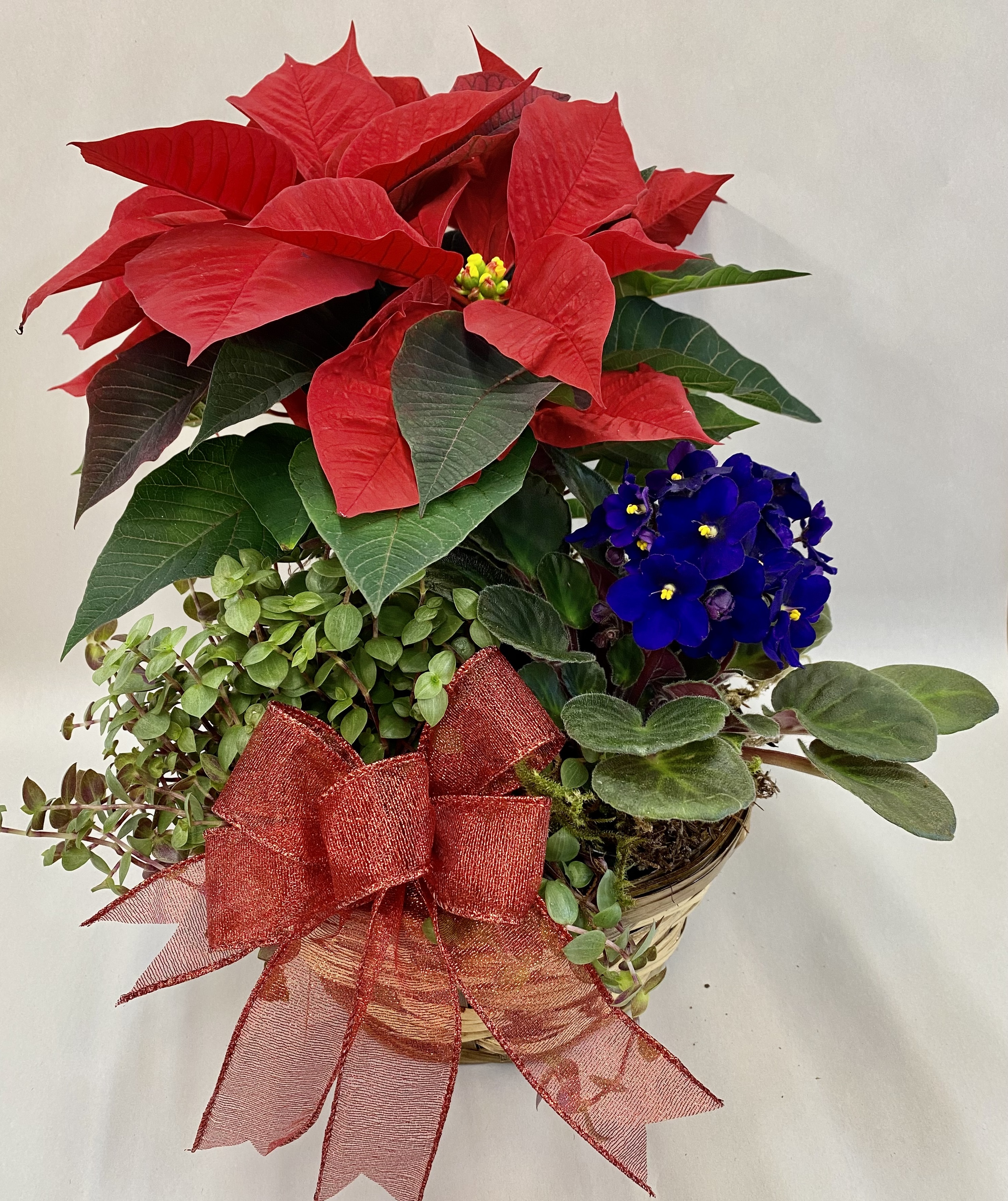 Holiday Fun Planter (XM15-03)
