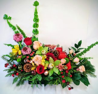 Royal Renaissance (XM25-02)