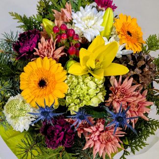 Fireside Glow (CFX25-50)