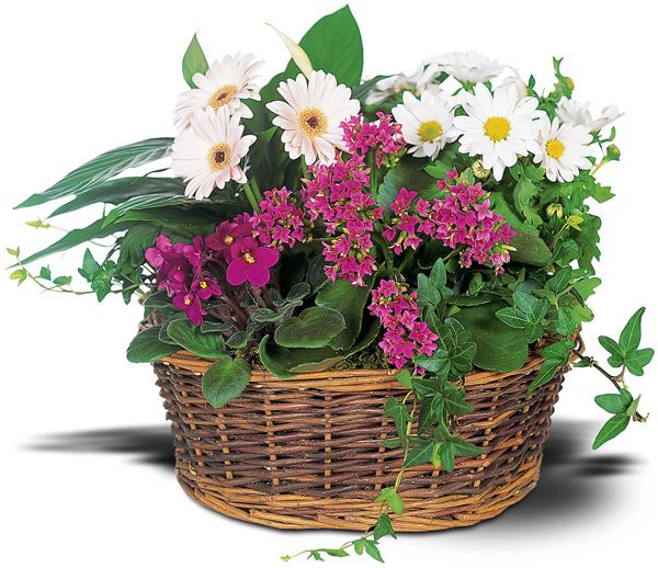 European Garden Basket (TW10-127)