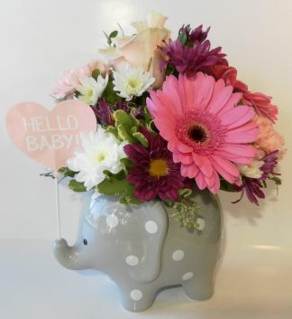 Sweet Baby Elephant - girl (FA18-01)