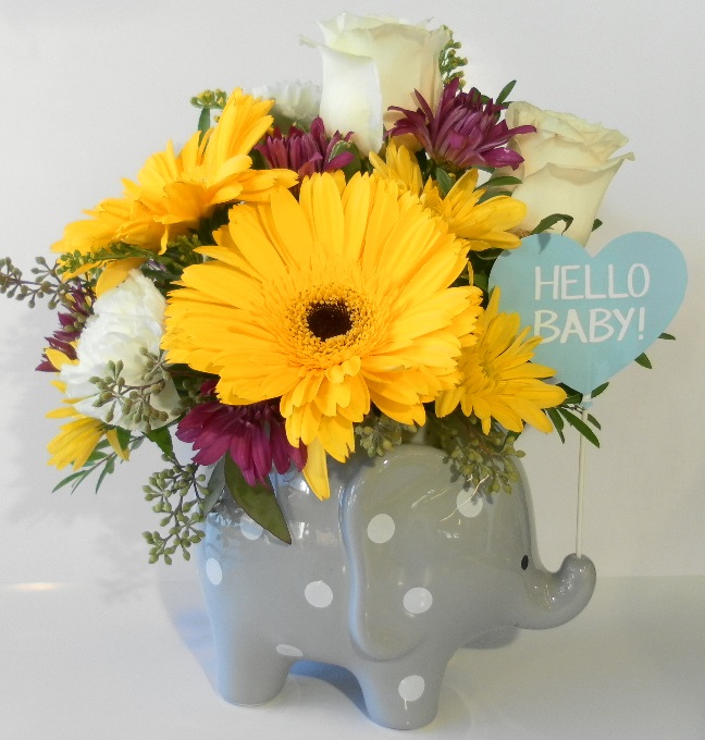 Sweet Baby Elephant - boy (FA18-02)