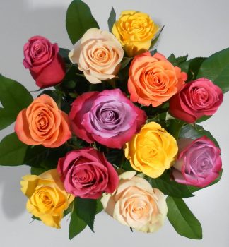 12 Mixed-Colour Roses (RSC12-20)