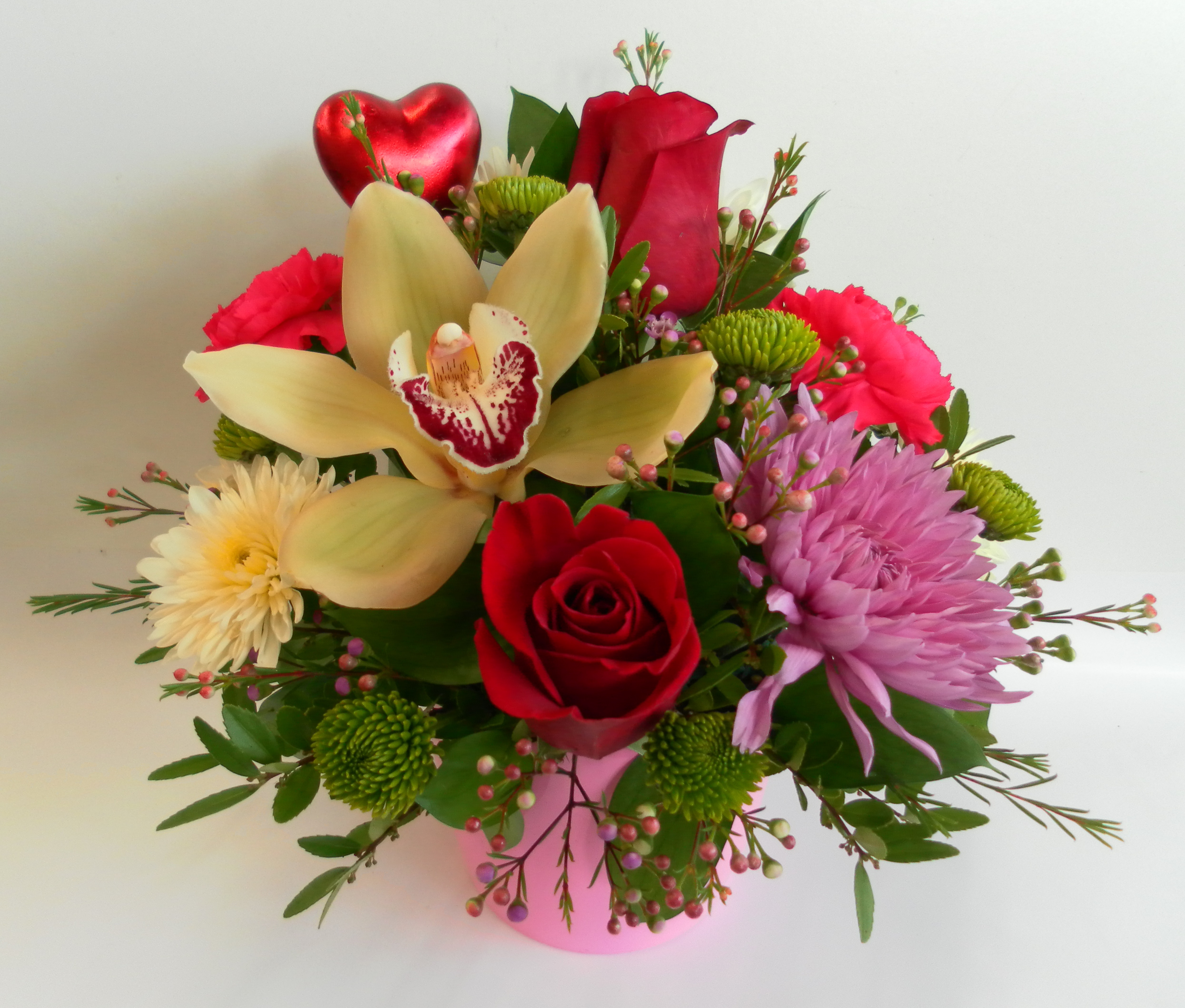 In the Pinks! (VD21-01)