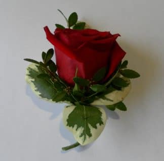Single Rose Boutonniere (COR21-03)