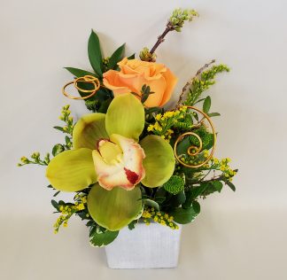 Orchid Whisper (FA21-04)