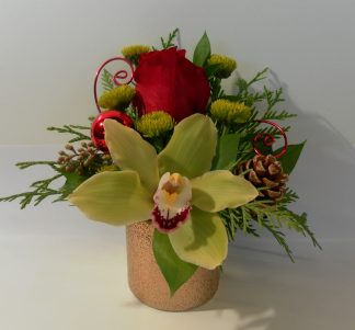 Festive Orchid Whisper (XM21-07)