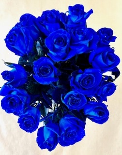 12 Blue Roses (RSB12-13)