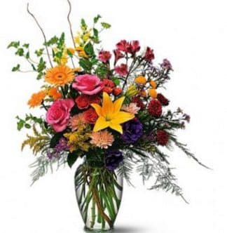 Welcome the Day (TF3-1)