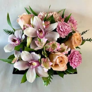 Orchid Chic (FA24-21)