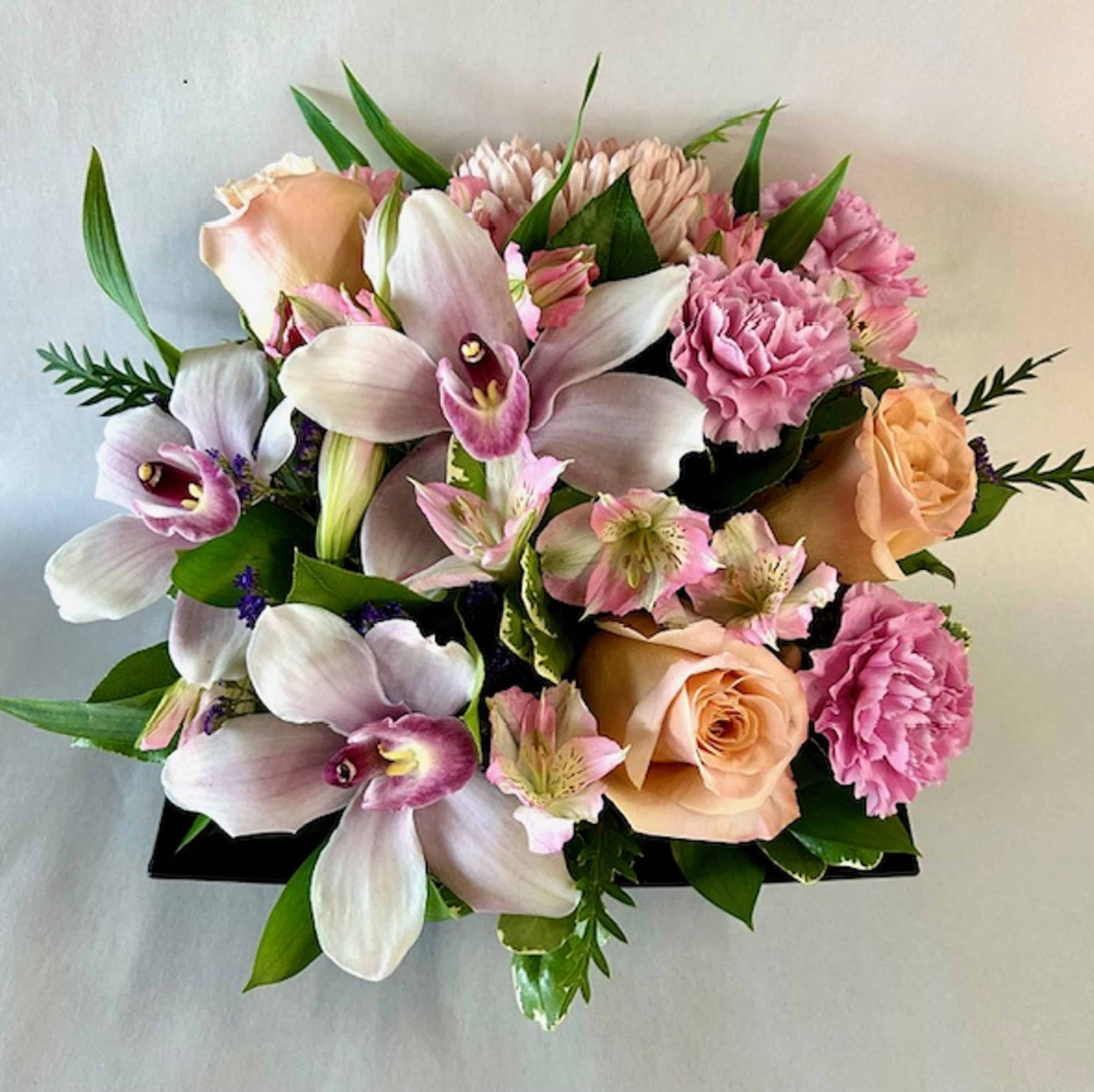 Orchid Chic (FA24-21)