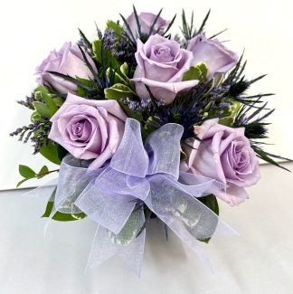 Morning Melody (FA25-19)