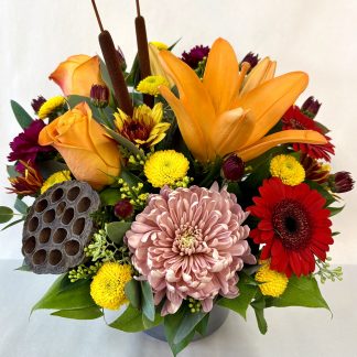 Fall Fancy (FA25-21)