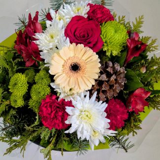 Holiday Hello (CFX25-40)