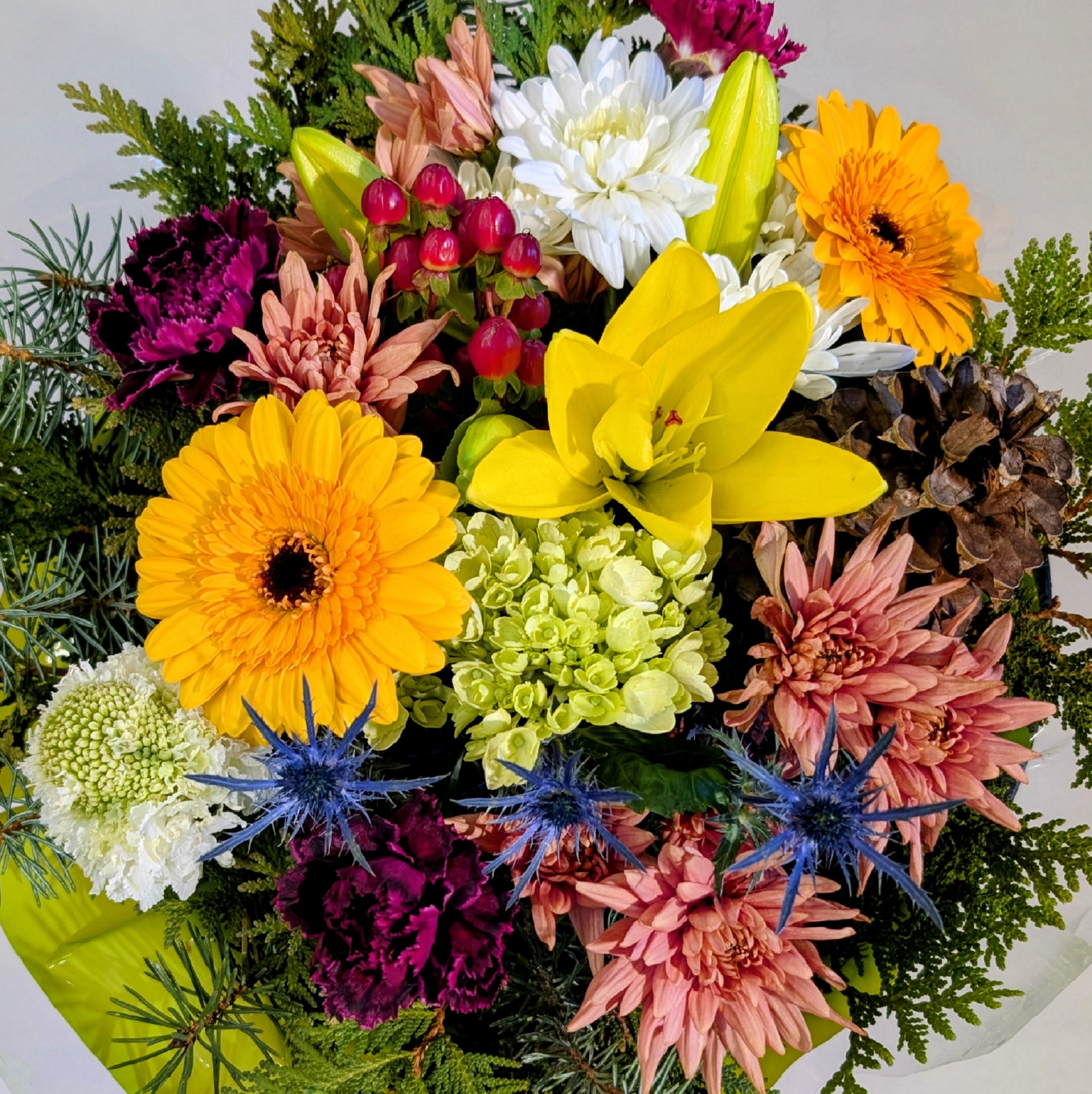 Fireside Glow (CFX25-50)